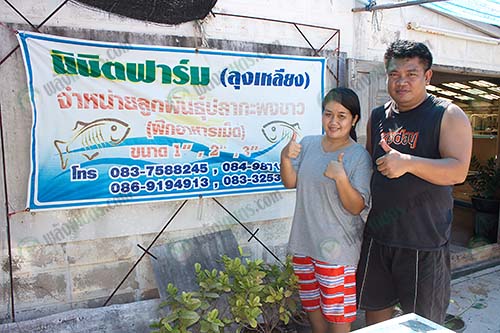 2.คุณศิริพร-ชูเชิด-และคุณนิมิต-แฮวอู-ผลิตลูกพันธุ์ปลากะพง-จ.สมุทรสงคราม