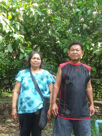 2.ป้าต้อยกับลุงสมศักดิ์-เจ้าของสวนชมพู่เพชรสายรุ้ง