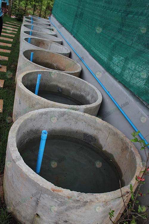 4.บ่อเพาะพันธุ์