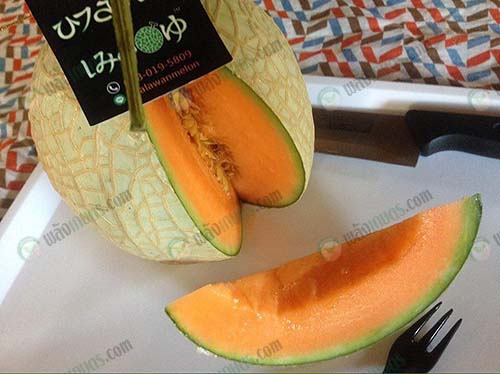7.เมล่อนเนื้อสีส้มจะให้ความหอมกว่าเนื้อสีเขียว