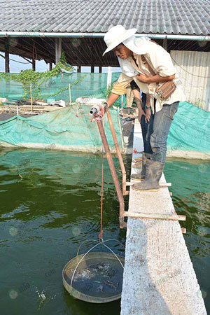 8.นักวิชาการยกยอเช็คอาหาร
