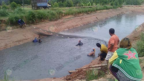 9.การจับปลาดุกยกบ่อ-ทุกไซส์