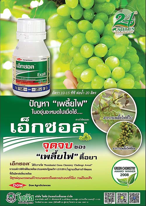 Advertisement Banner by บริษัท โซตัส อินเตอร์เนชั่นแนล จำกัด www.sotus.co.th