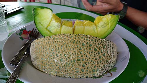 ผลผลิตเมล่อนสร้างลวดลายบนผิวได้สวยงาม