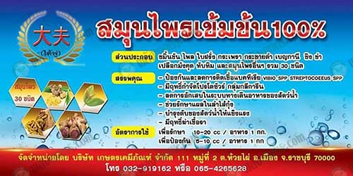 ไต้ฟู-I