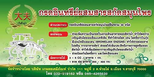 ไต้ฟู-II