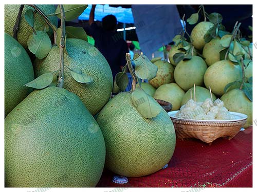 7.ส้มโอขาวแตงกวาพร้อมจำหน่าย