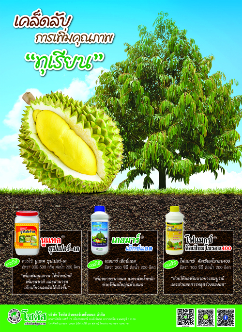 Advertisement Banner by บริษัท โซตัส อินเตอร์เนชั่นแนล จำกัด www.sotus.co.th - ทุเรียน