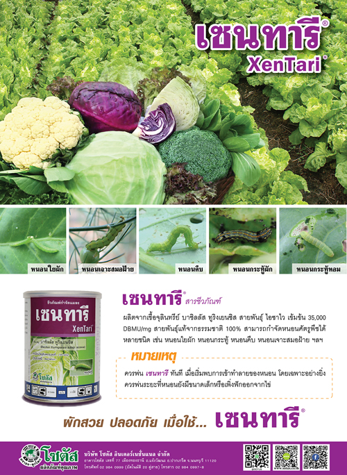 Advertisement-Banner-by-บริษัท-โซตัส-อินเตอร์เนชั่นแนล-จำกัด- www.sotus.co.th : เซนทารี