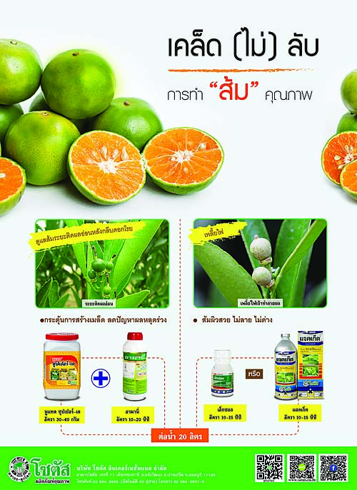 Advertisement-Banner-by-บริษัท-โซตัส-อินเตอร์เนชั่นแนล-จำกัด-www.sotus.co.th