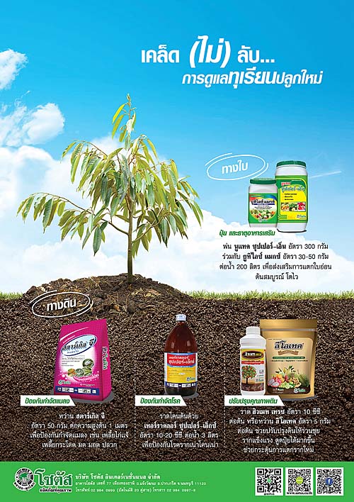 Advertisement-Banner-by-บริษัท-โซตัส-อินเตอร์เนชั่นแนล-จำกัด-www.sotus.co.th
