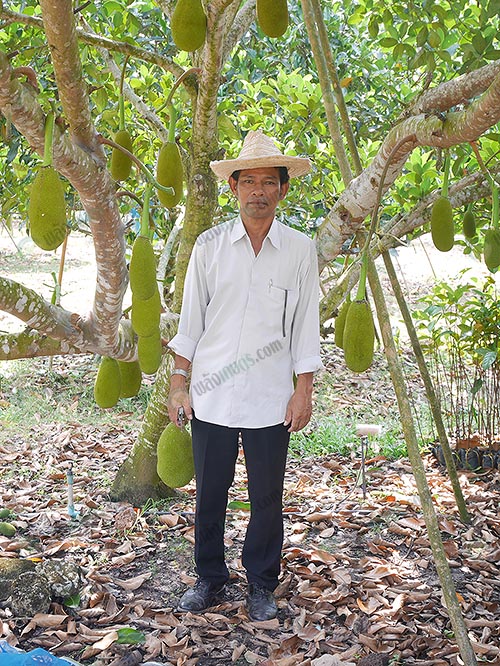 1.กำนันสมศักดิ์-อาจิณ-กับสวนขนุน
