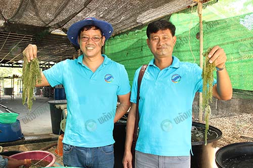 2.คุณไก่และคุณแทน
