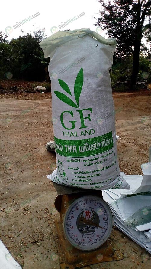 5.น้ำหนัก-20-กิโลกรัม