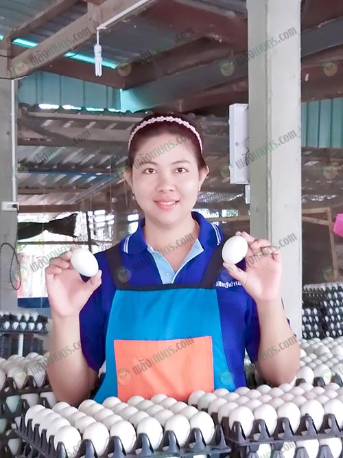 8.คุณสาวิตรี-สว่างอารมณ์-ลูกสะใภ้-ดูแลด้านการคัดไข่เป็ด