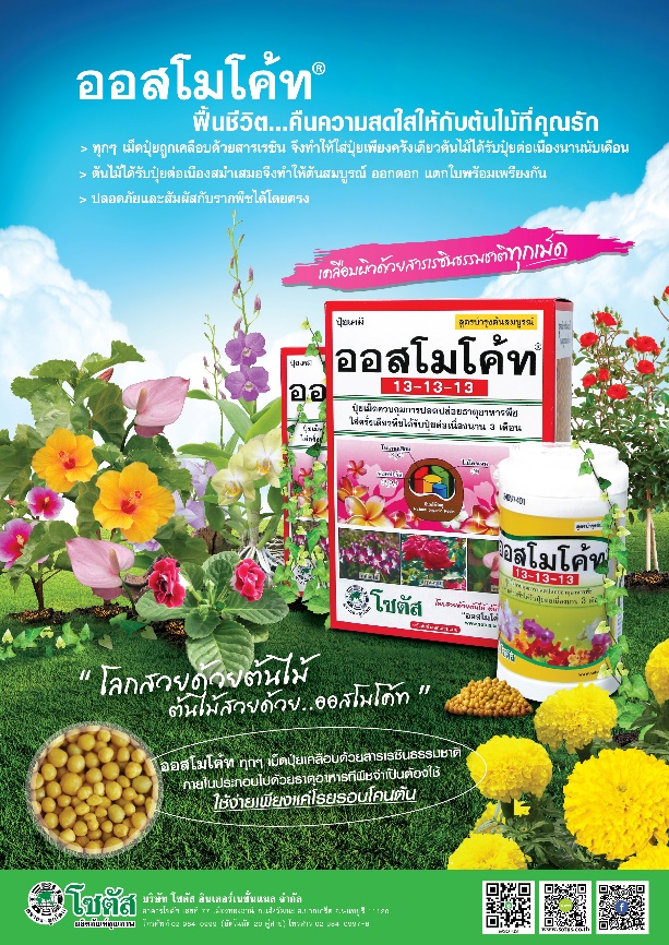 Advertisement-Banner-by-บริษัท-โซตัส-อินเตอร์เนชั่นแนล-จำกัด-www.sotus.co.th