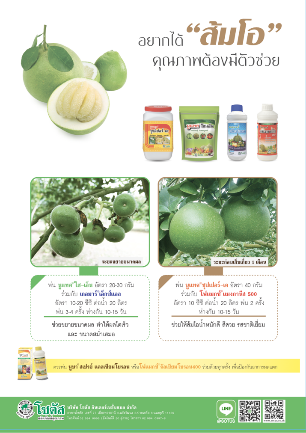 Advertisement-Banner-by-บริษัท-โซตัส-อินเตอร์เนชั่นแนล-จำกัด-www.sotus.co.th