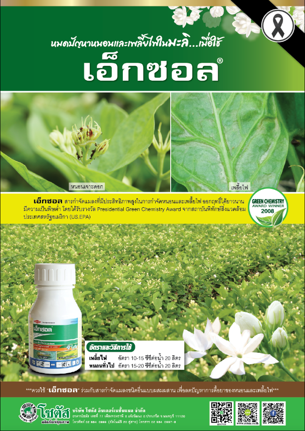 Advertisement-Banner-by-บริษัท-โซตัส-อินเตอร์เนชั่นแนล-จำกัด-www.sotus.co.th