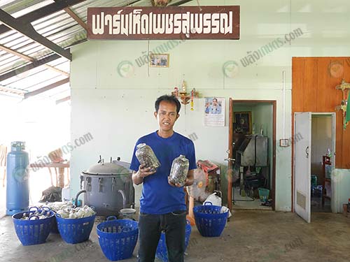 2.คุณนรินทร์-มณีวงษ์-เพาะเห็ดฟาง-และหัวเชื้อหลากหลายชนิด-จ.สุพรรณบุรี