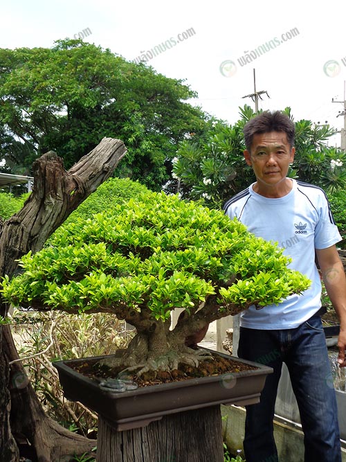 2.คุณอิทธิพล-หัชวลัญช์-หรือคนในวงการรู้จักในนาม-ปอง-สายห้า