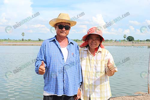 3.คุณประจวบ-สระขบแก้ว-เกษตรกรผู้เลี้ยงกุ้ง-จ.นครปฐม
