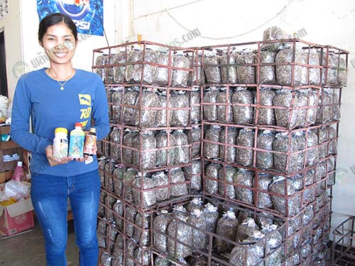 5.น้องสาวคุณนรินทร์ผู้จัดการร้าน