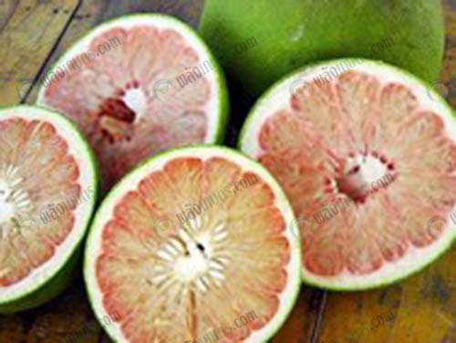 6.ส้มโอพันธุ์ทองดี