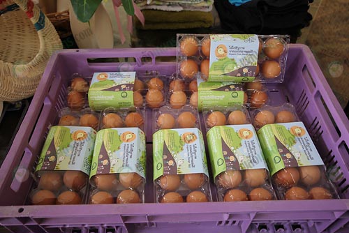 7.ไข่ไก่ชีวภาพพร้อมจำหน่าย