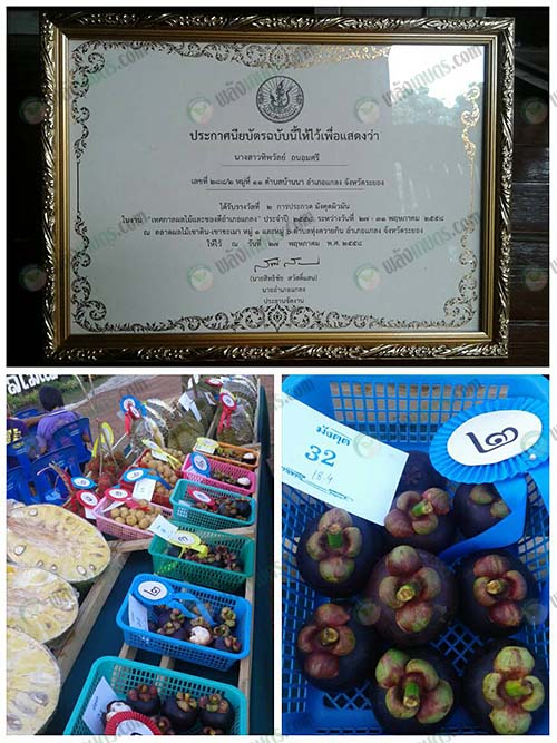 9.รางวัลที่การันตีถึงคุณค่าและมูลค่าผลผลิตของทางสวน