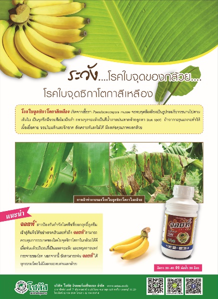 Advertisement-Banner-by-บริษัท-โซตัส-อินเตอร์เนชั่นแนล-จำกัด-www.sotus.co.th
