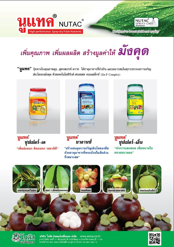Advertisement-Banner-by-บริษัท-โซตัส-อินเตอร์เนชั่นแนล-จำกัด-www.sotus.co.th