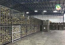 เน้นรับซื้อ “ทุเรียนหมอนทอง ไทย” เท่านั้น ผลิตทุเรียนฟรีซดรายคุณภาพ ป้อนตลาดแดนมังกร การเก็บสต๊อกวัตถุดิบ ทุเรียนหมอนทอง สดเพื่อให้เพียงพอต่อการใช้ตลอดทั้งปี