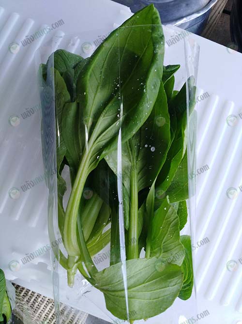 ผักคุณภาพจากแสงหลอด-LED