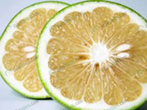 ส้มโอพันธุ์ขาวหอม