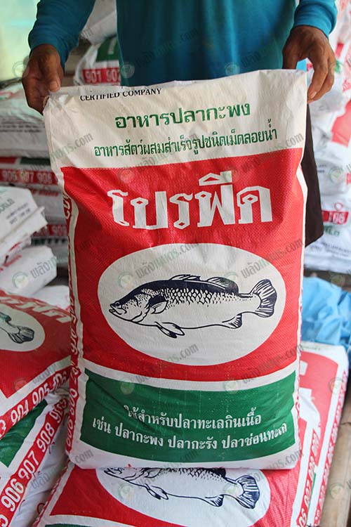 อาหารโปรฟีดสำหรับปลากะพง
