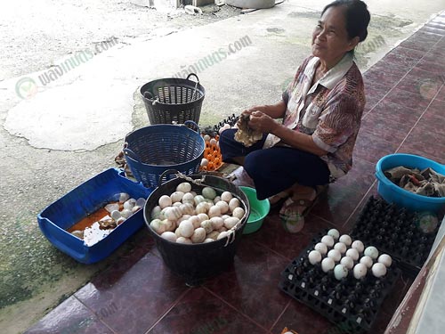 เจ้าหน้าที่กำลังทำความสะอาดไข่เป็ด