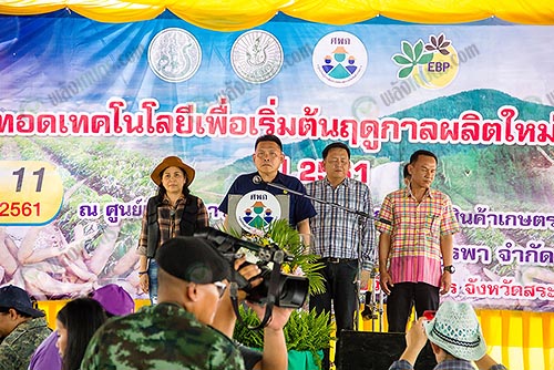 10.การส่งเสริมเกษตรกรในรูปมันแปลงใหญ่และรวมกลุ่มจัดตั้งเป็นวิสาหกิจชุมชน