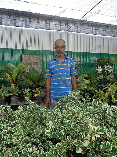 3.คุณวราวุธ-เลิศทรัพย์-เจ้าของร้านลุงอ๊อดพันธุ์ไม้
