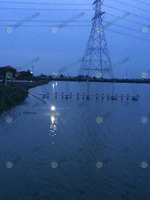 7.ลอบที่ใช้ดักกุ้งในเวลาการคืน