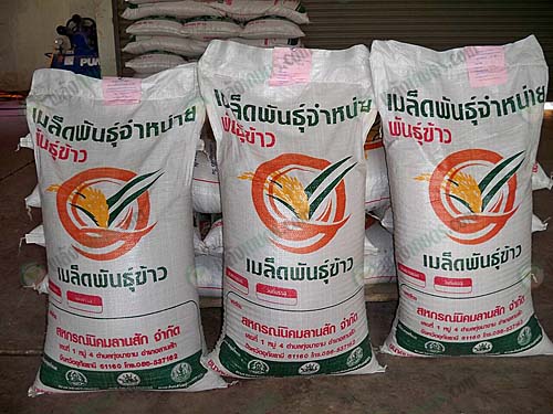 9.เมล็ดพันธุ์ข้าวคุณภาพ