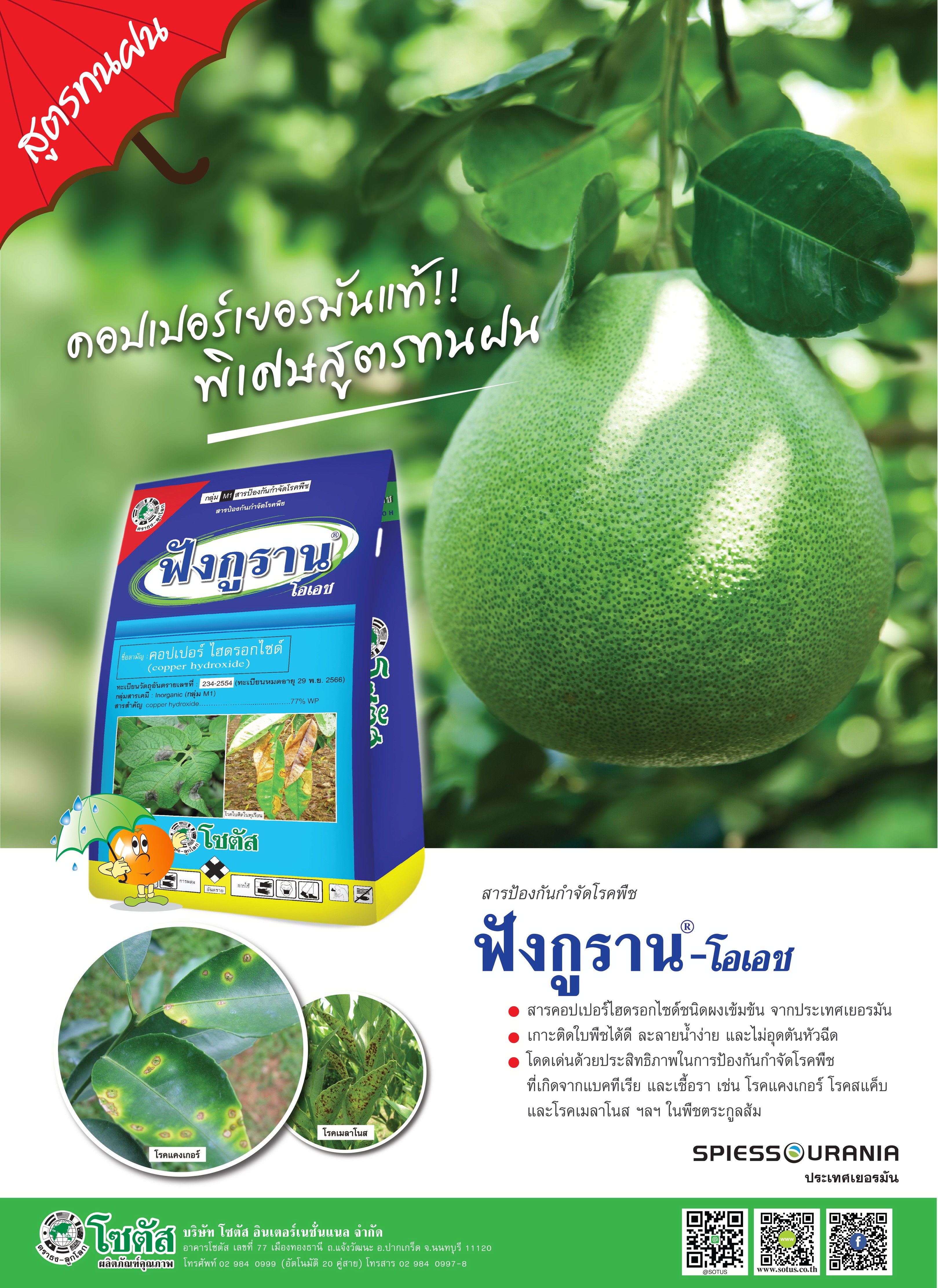 Advertisement-Banner-by-บริษัท-โซตัส-อินเตอร์เนชั่นแนล-จำกัด-www.sotus.co.th