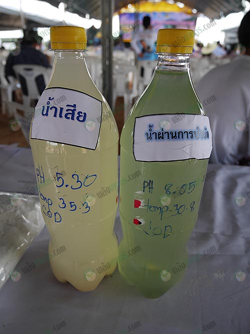 การบำบัดนำเสียเพื่อเป็นพลังงานและใช้ประโยชน์กับพืชชนิดอื่น