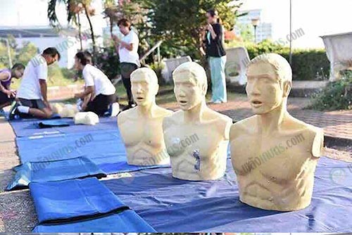 หุ่นยางพาราที่ใช้ในการสอนทำ-CPR