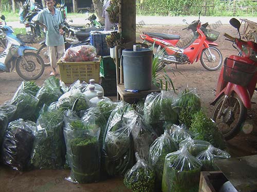 12.ผลผลิตที่ชาวบ้านเก็บได้พร้อมส่งจำหน่าย