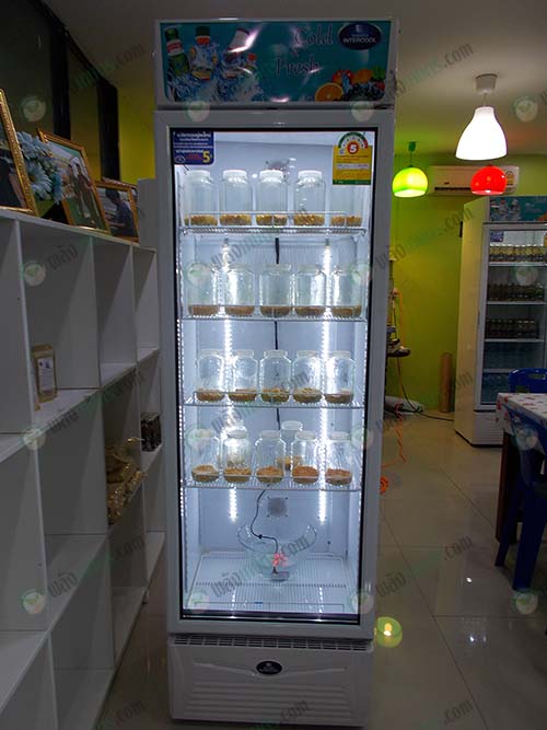 3.ตู้เพาะเห็ดถั่งเช่า-ราคาประหยัด-ลดต้นทุน