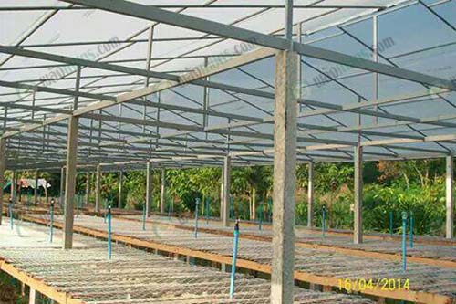 3.โรงเรือนที่สร้างขึ้นเพื่อปลูกผักปลอดสารโดยเฉพาะ