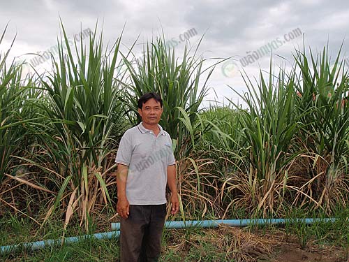4.ผลผลิตที่สร้างรายได้เนื้อที่-20-ไร่-ที่จะขยายเพิ่ม