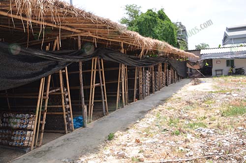 5.โรงเรือนเพาะเห็ด