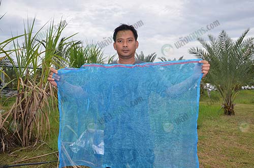7.ถุงที่เย็บขึ้นมาเพื่อห่อจั่นชั้นในอินทผลัม