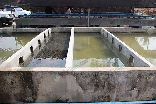 7.ระบบกรองน้ำ